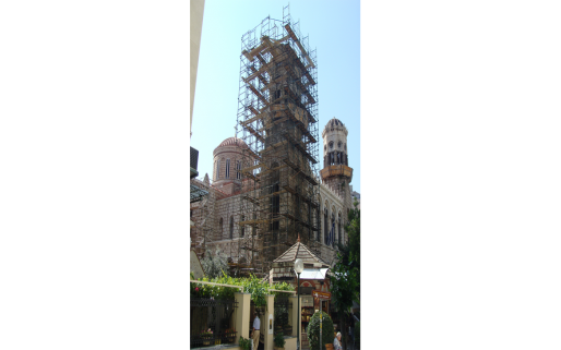 Diastylos_xrysosp_epiblepsi10