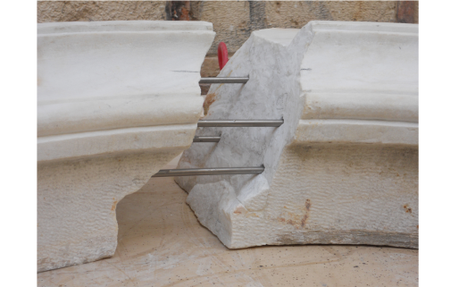 Diastylos_xrysosp_epiblepsi5