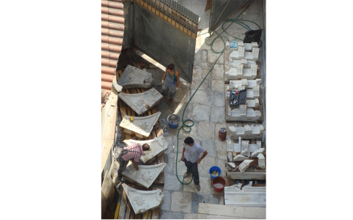 Diastylos_xrysosp_epiblepsi7