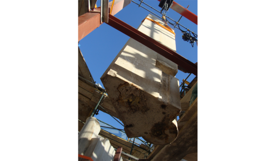 Diastylos_xrysosp_epiblepsi9